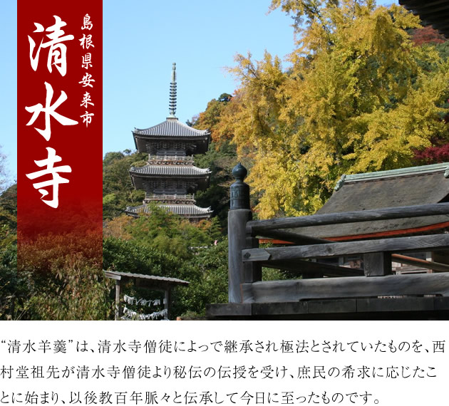 西村堂の清水羊羹 一口サイズ(40g×20個入×1箱)/(島根県安来市)