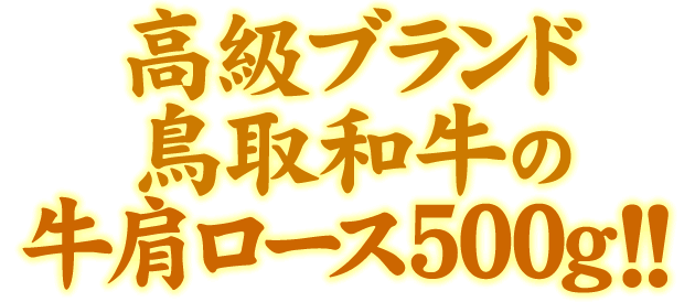 高級ブランド鳥取和牛の牛肩ロース500g!!